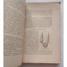 Marton Dénes: Szőlőtermesztés (1940)