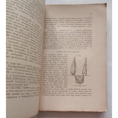 Marton Dénes: Szőlőtermesztés (1940)