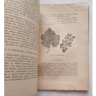 Marton Dénes: Szőlőtermesztés (1940)