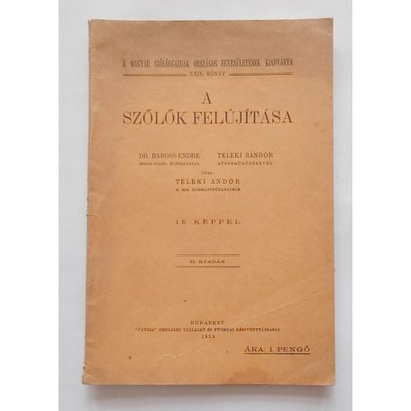 Teleki Andor / Teleki Sándor: A szőlők felújítása (1928)