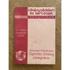 Osztrovszkyné Dr. Németh Ágnes: Gyümölcs és zöldség a konyhán