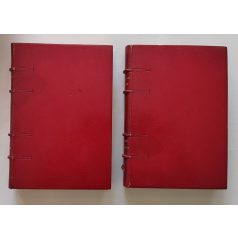   Houston Stewart Chamberlain: Die Grundlagen des 19. Jahrhunderts I-II.