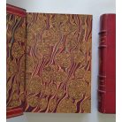 Houston Stewart Chamberlain: Die Grundlagen des 19. Jahrhunderts I-II.