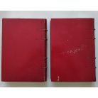 Houston Stewart Chamberlain: Die Grundlagen des 19. Jahrhunderts I-II.