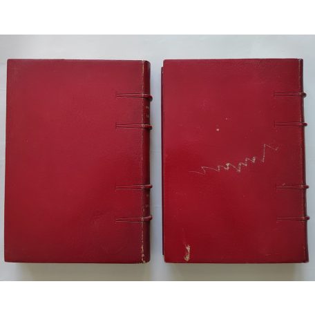 Houston Stewart Chamberlain: Die Grundlagen des 19. Jahrhunderts I-II.