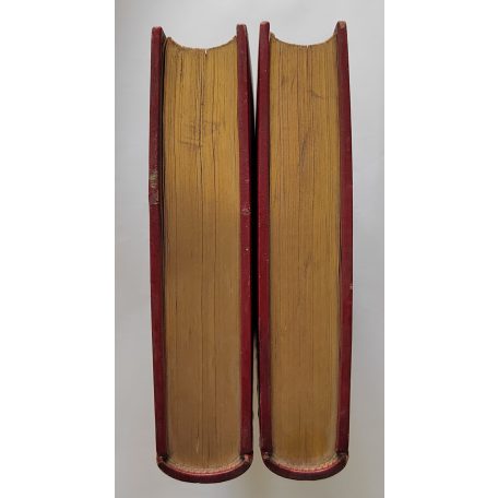 Houston Stewart Chamberlain: Die Grundlagen des 19. Jahrhunderts I-II.