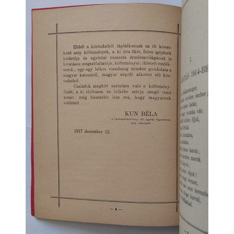Pap Imre: A magyar nép a világháborúban (1917).
