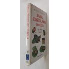 Michael Lohmann: Bogarak, szitakötők, pókok és más ízeltlábúak (Határozó kézikönyvek)