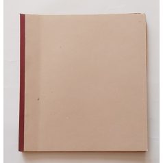   Sebők Imre - Cs. Horváth Tibor- Conan Doyle: Eltűnt világ /Népszava képregények 45 folytatás/ Első kiadás! (Teljes!)