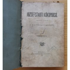 Farkas Emőd: A józsefstadti kőkoporsó