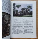 Csukás István: Süsü, a sárkány kalandjai (Süsü csapdába esik, Süsü és a sárkánylány)