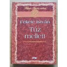 Fekete István: Tűz mellett