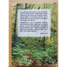 Fekete István: Barangolások