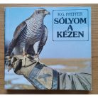 R. G. Pfeffer: Sólyom a kézen