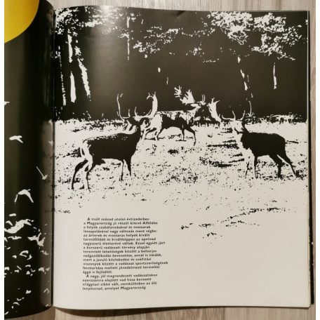 Magyar vadászalbum. Vadászati világkiállítás