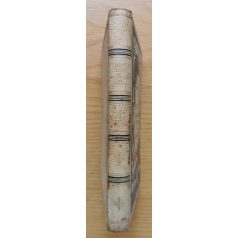 Cziklay Lajos: Katholikus hajadonok könyve