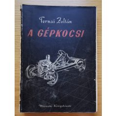 Ternai Zoltán: A gépkocsi 