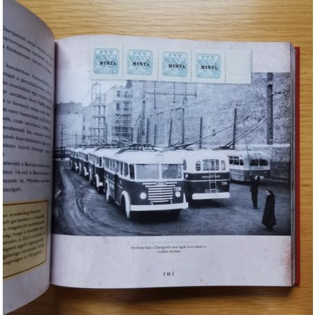 Jakab László: Szerbusz trolibusz 