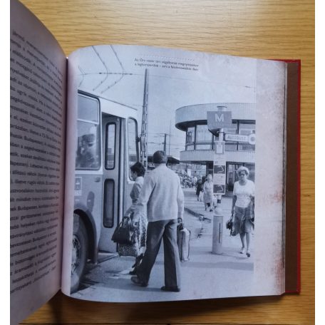 Jakab László: Szerbusz trolibusz 