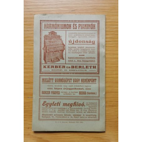 Goebel Vilmos: Az anya bűne 