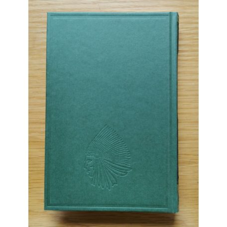 Karl May: Medveölő fia