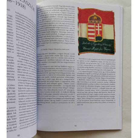 Somogyi Győző: Magyar hadizászlók