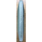 Dmitrij Nagiskin: Amur-parti mesék