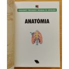 Vincente Muedra Baixauli: Anatómia
