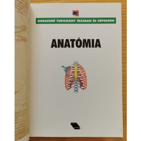 Vincente Muedra Baixauli: Anatómia