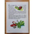 Molnár Mária: A növényvédelem ábécéje