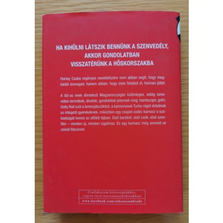 Hartay Csaba: Turbo - Rajongók voltunk