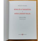 Mészöly Ágnes: Róka útra kel - Betűzgető könyvek