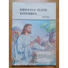 Krisztus élete képekben: Krisztus szolgálata