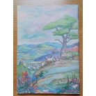 Krisztus élete képekben: Krisztus szolgálata