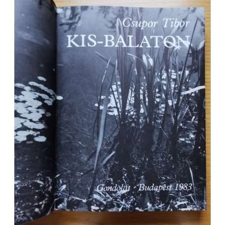 Csupor Tibor: Kis-Balaton