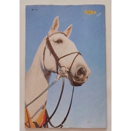 Pejkó, az én lovam  6. szám