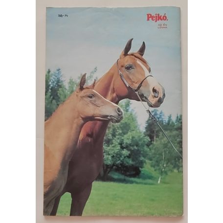 Pejkó, az én lovam  8. szám