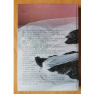 Balogh András, Dr.: Virágkötészet