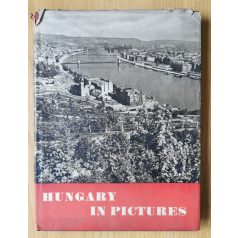 Ernő Mihályfi: Hungary in Pictures