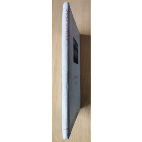 Vályi Gábor és Veres Mária: Hungary to-day