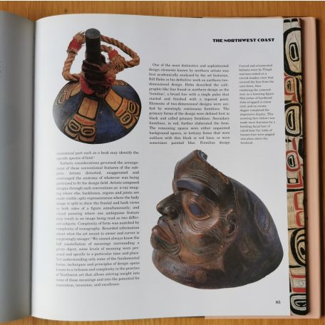 Taylor Colin: Native american arts and crafts