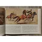 Benyovszky István: "Pusztán születtem" (Válogatás Benyovszky István műveiből)