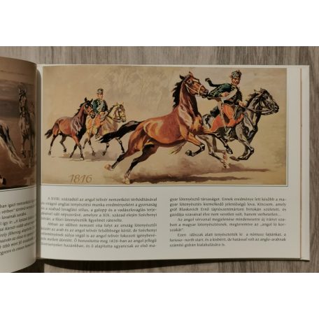 Benyovszky István: "Pusztán születtem" (Válogatás Benyovszky István műveiből)