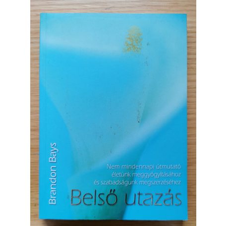 Brandon Bays: Belső utazás