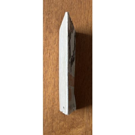 Demény Pál: Az imperialista Japán