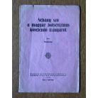 Memento: Néhány szó a magyar bolsevizmus követendő irányáról