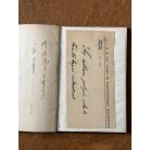 Sebestyén Ede: A román nemzetiségi politika