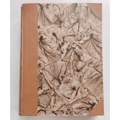   A Földgömb. A Magyar Földrajzi Társaság folyóirata. Második évfolyam. 1931. (Teljes!)