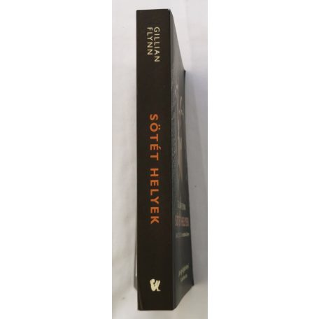 Gillian Flynn: Sötét helyek 
