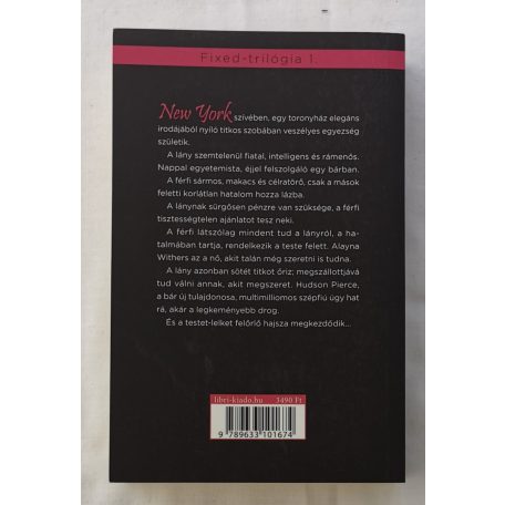 Laurelin Paige: Fixed on You – Megtalállak még 